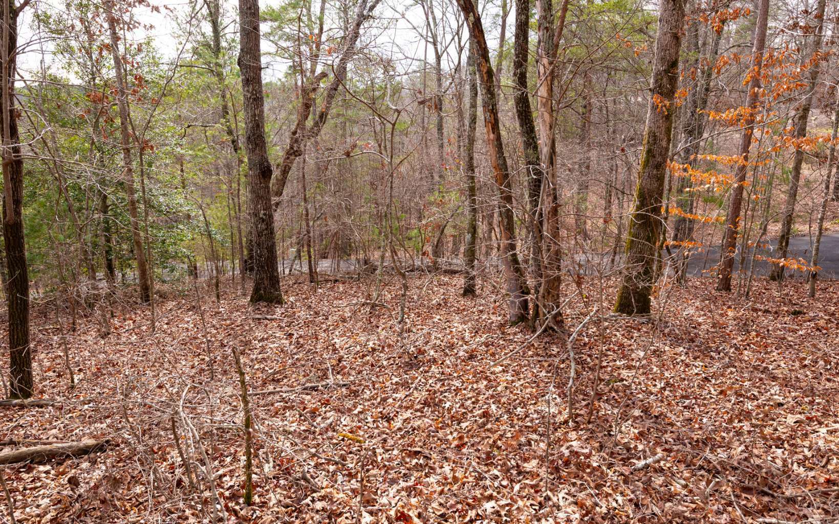 Property Photo:  0 Mountain Creek Hollow  GA 30175 