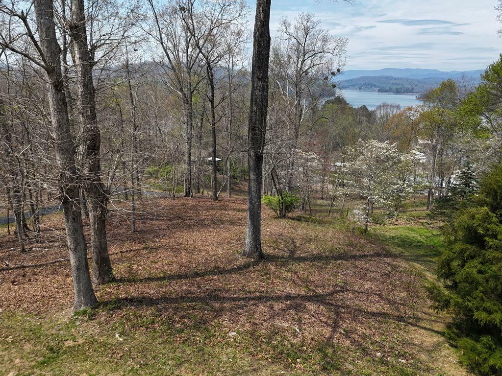 Property Photo:  Lot 12 Chatuge Cove Drive  NC 28904 