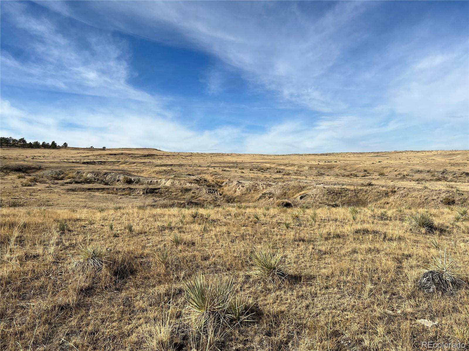 Property Photo:  County Road 77  CO 80808 