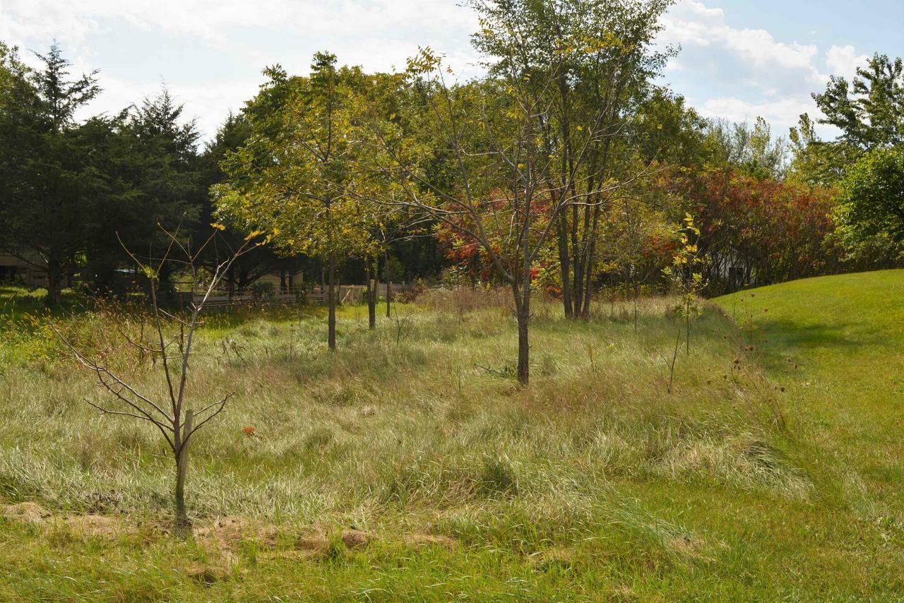 Property Photo:  Lot 92 Tamarack Road  WI 53588 