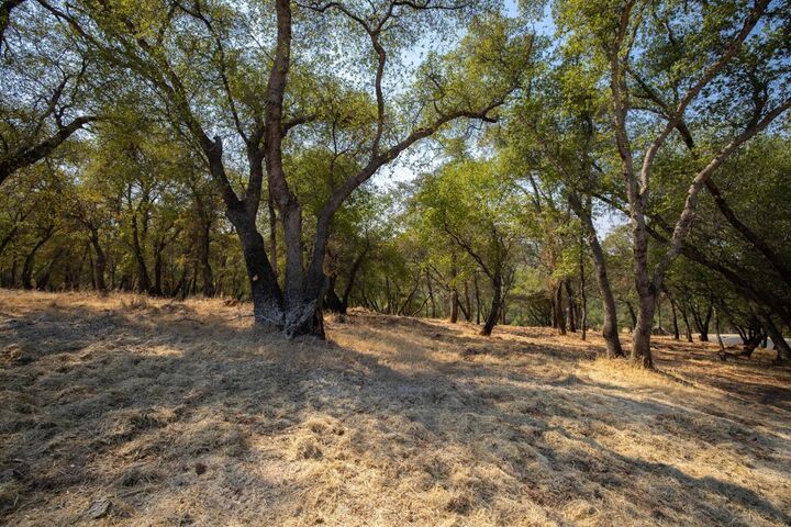 Property Photo:  4105 Raphael Drive  CA 95762 
