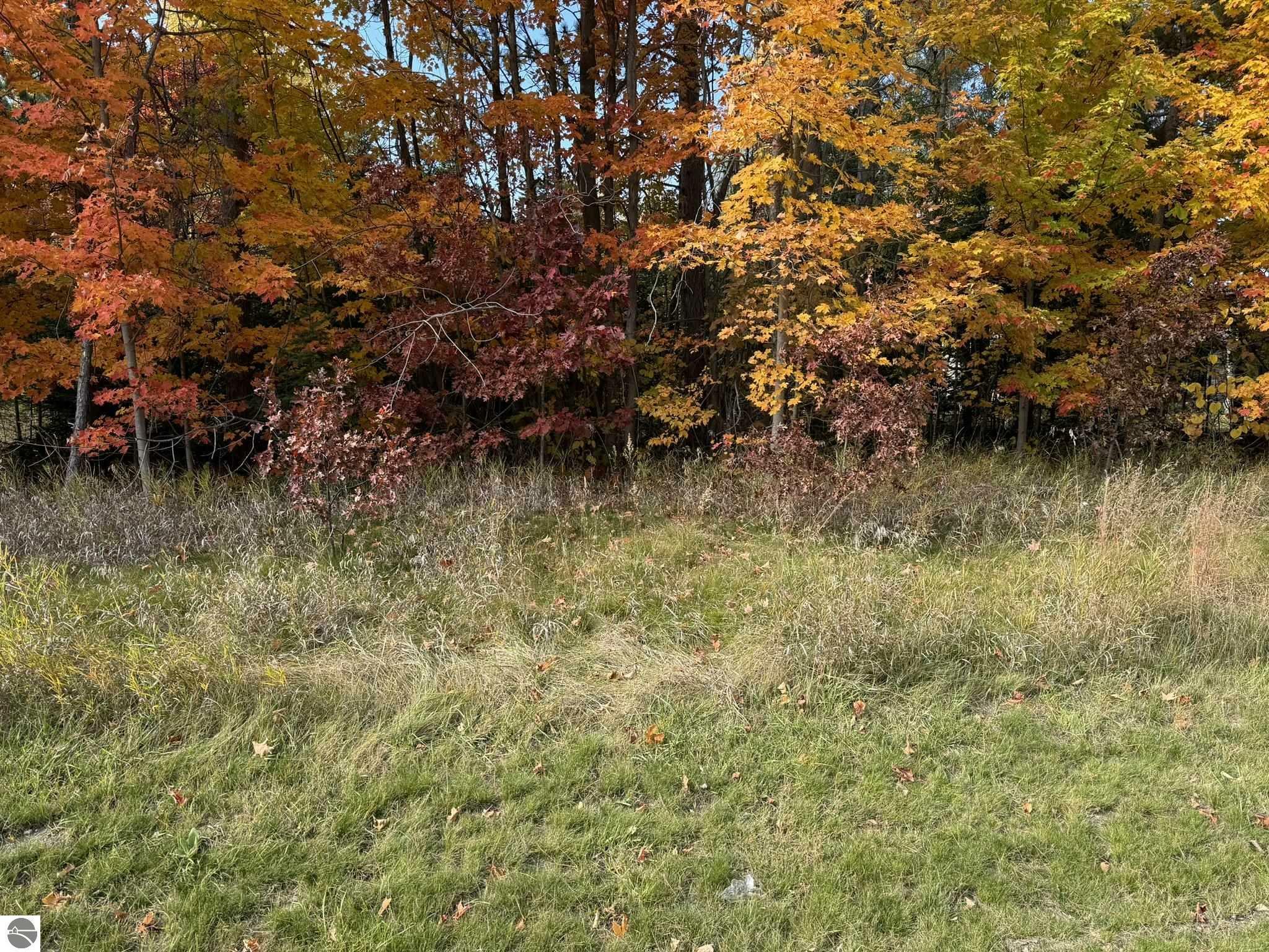 Property Photo: Vl E M-113 MI 49633