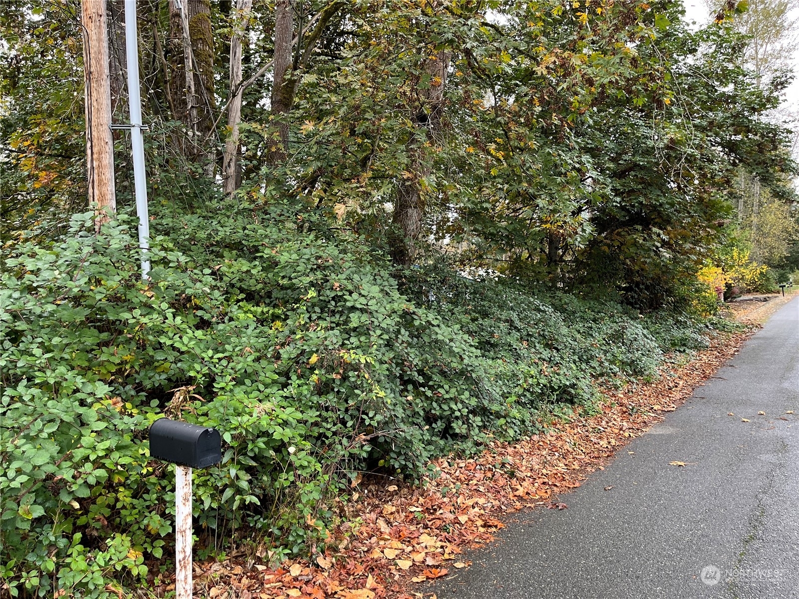 Property Photo:  207 Xx 147th Avenue SE  WA 98042 