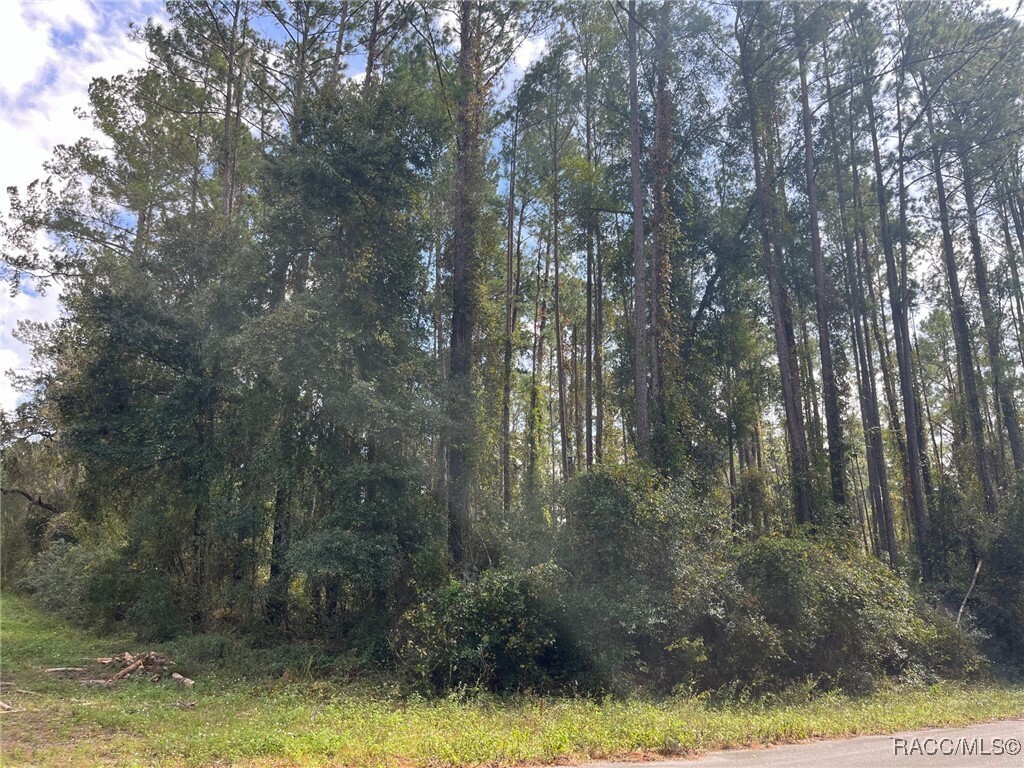 Property Photo:  970 E Vercelli Lane  FL 34434 