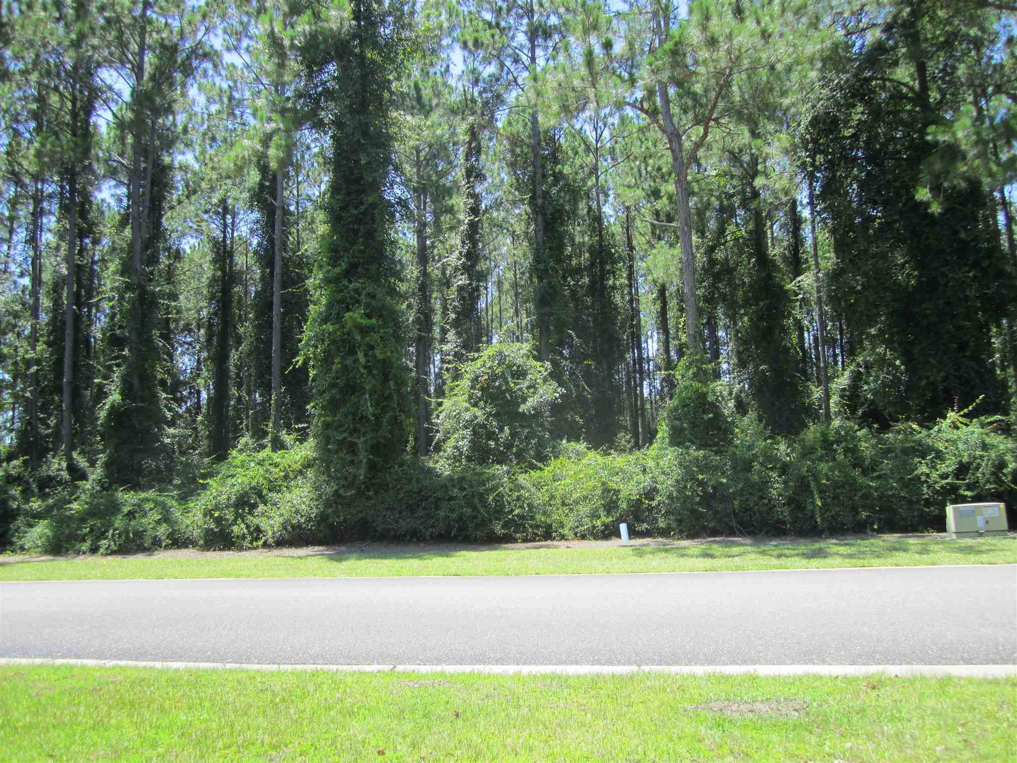 Property Photo:  V/L 81 Cumberland Harbour Boulevard  GA 31558 