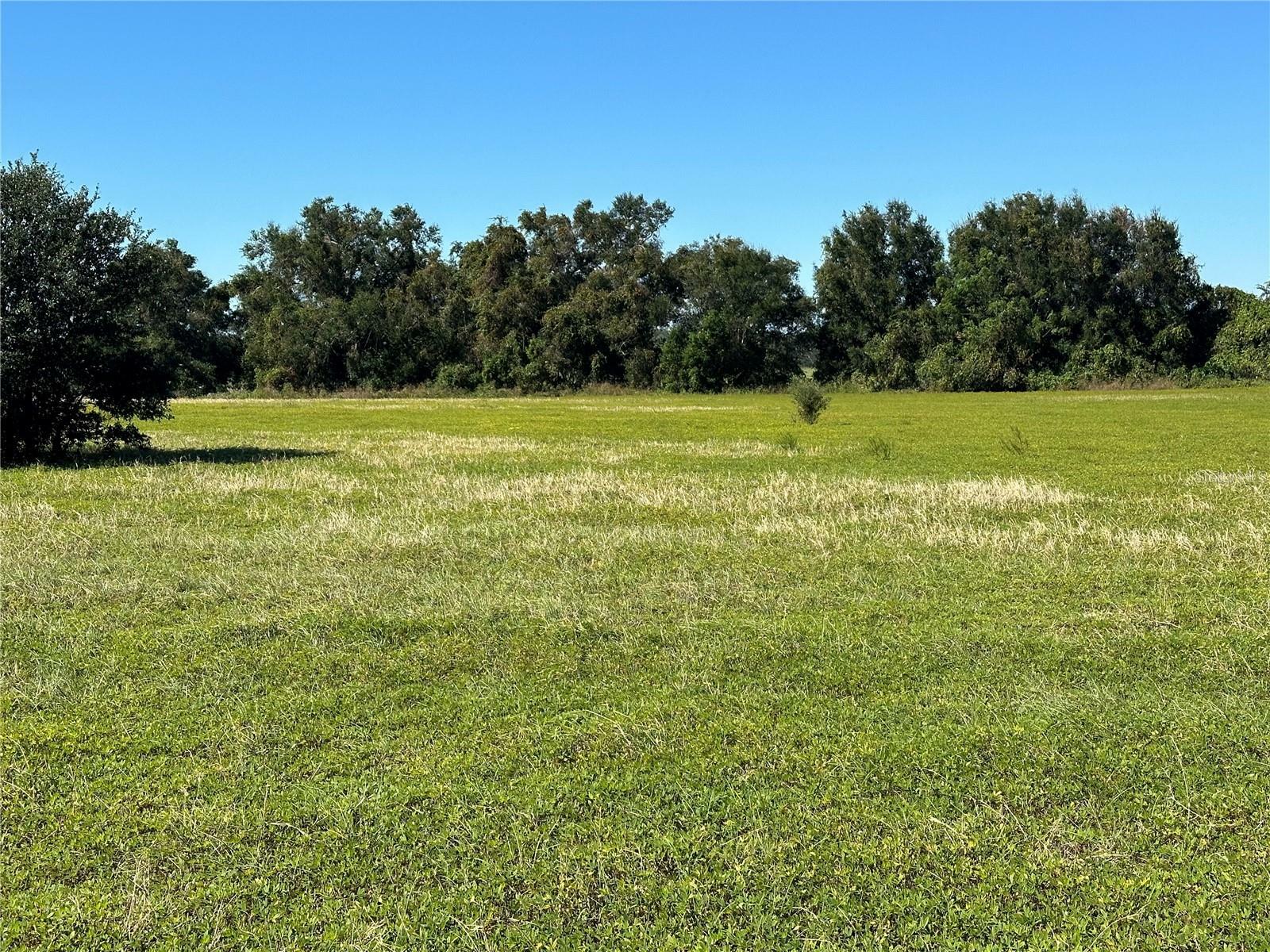 Property Photo:  0 Southeast 170th Street  FL 32195 