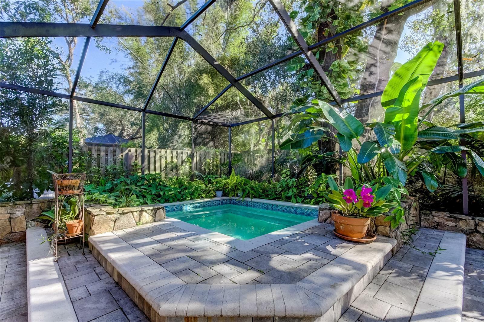 Property Photo:  12917 Rain Forest Street  FL 33617 