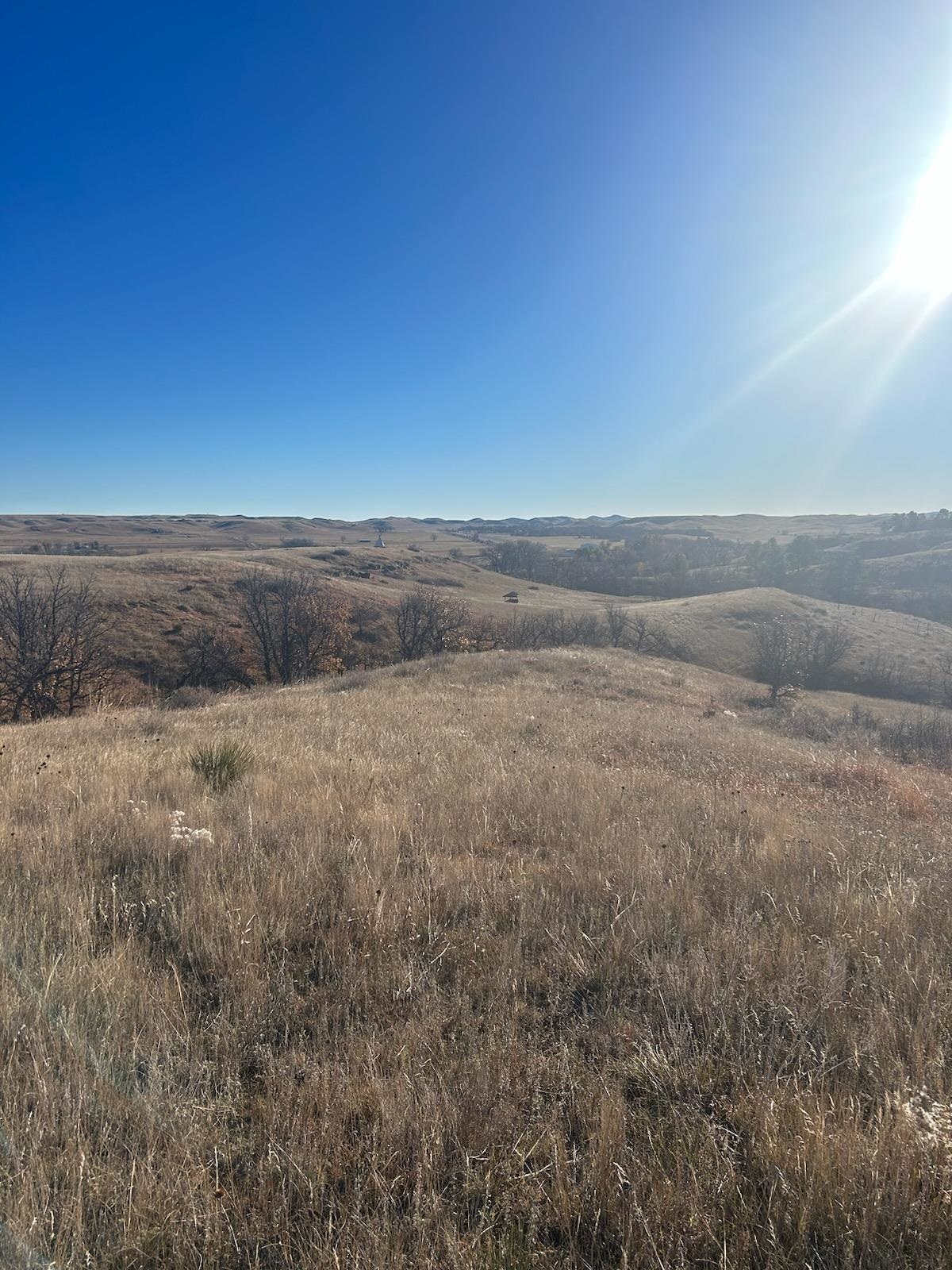 11097 Ridge Road  Belle Fourche SD 57717 photo