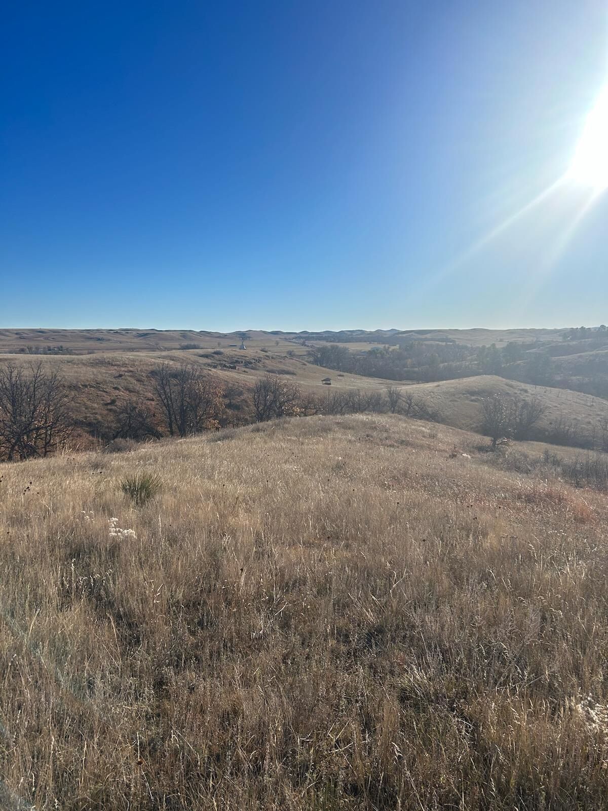 Property Photo: 11101 Ridge Road SD 57717