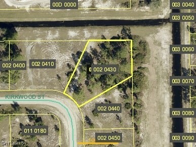 Property Photo:  1045 Kirkwood Street  FL 33974 