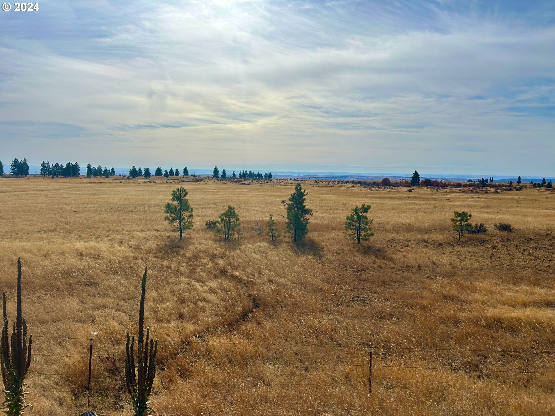 Property Photo:  Bickleton Hwy  WA 99322 