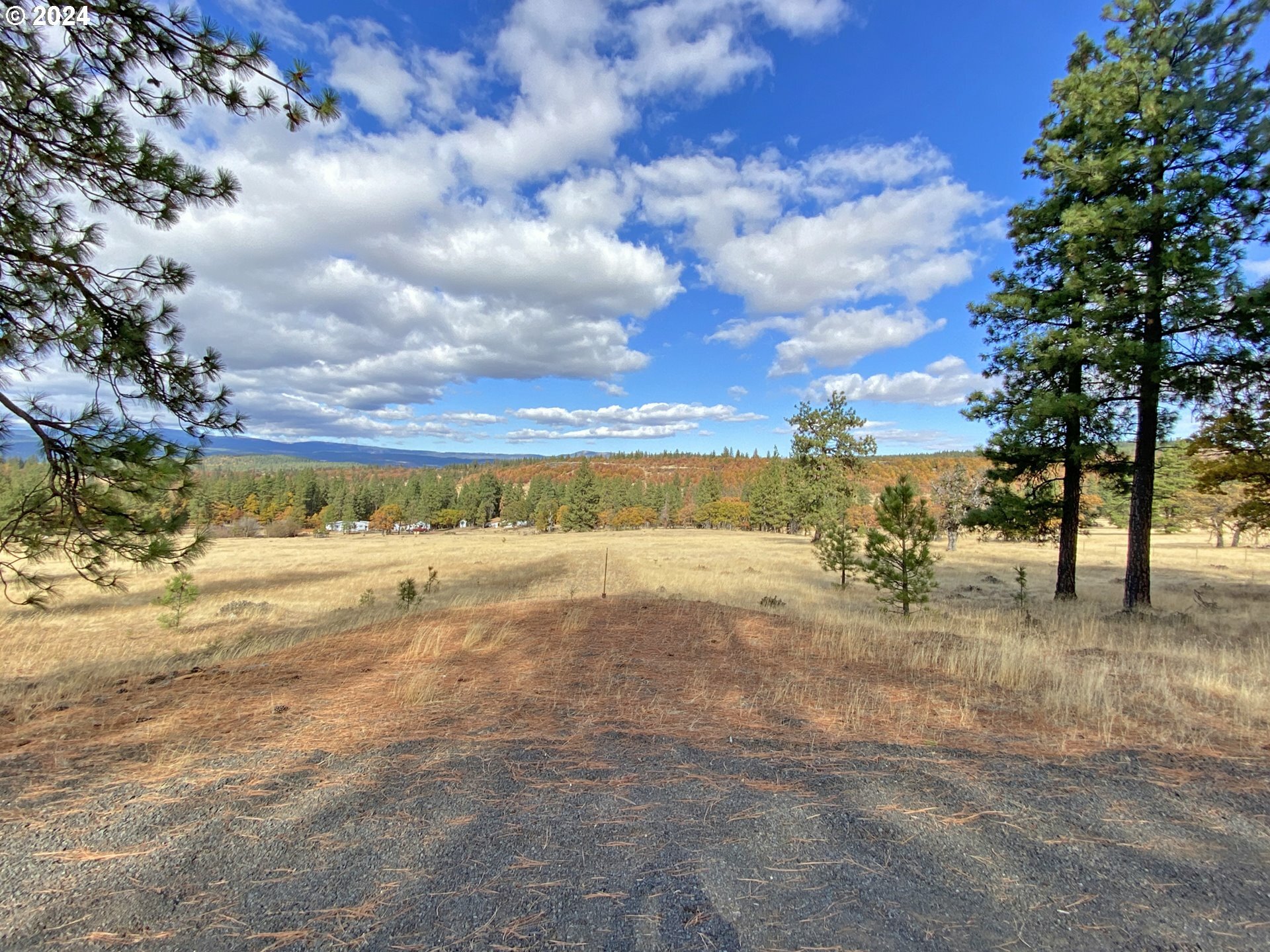 Property Photo:  471 Woodland Rd  WA 98620 