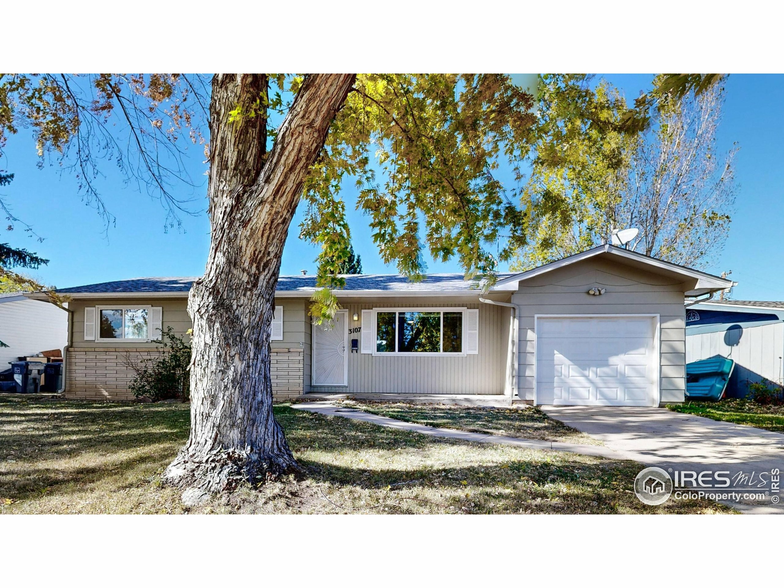 Property Photo:  3107 Butternut Dr  CO 80538 