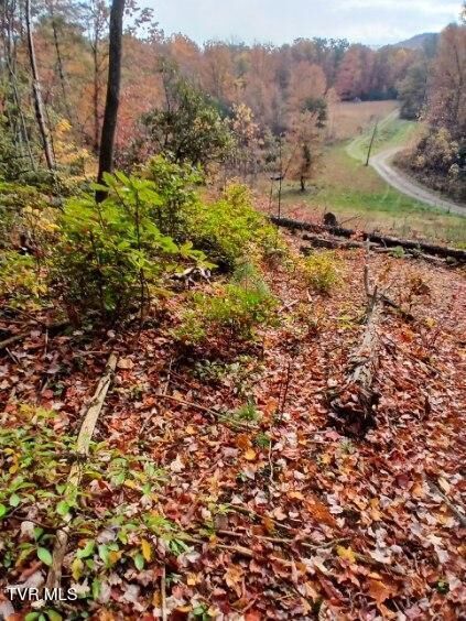 Property Photo: Tbd Fire Station Road TN 37643