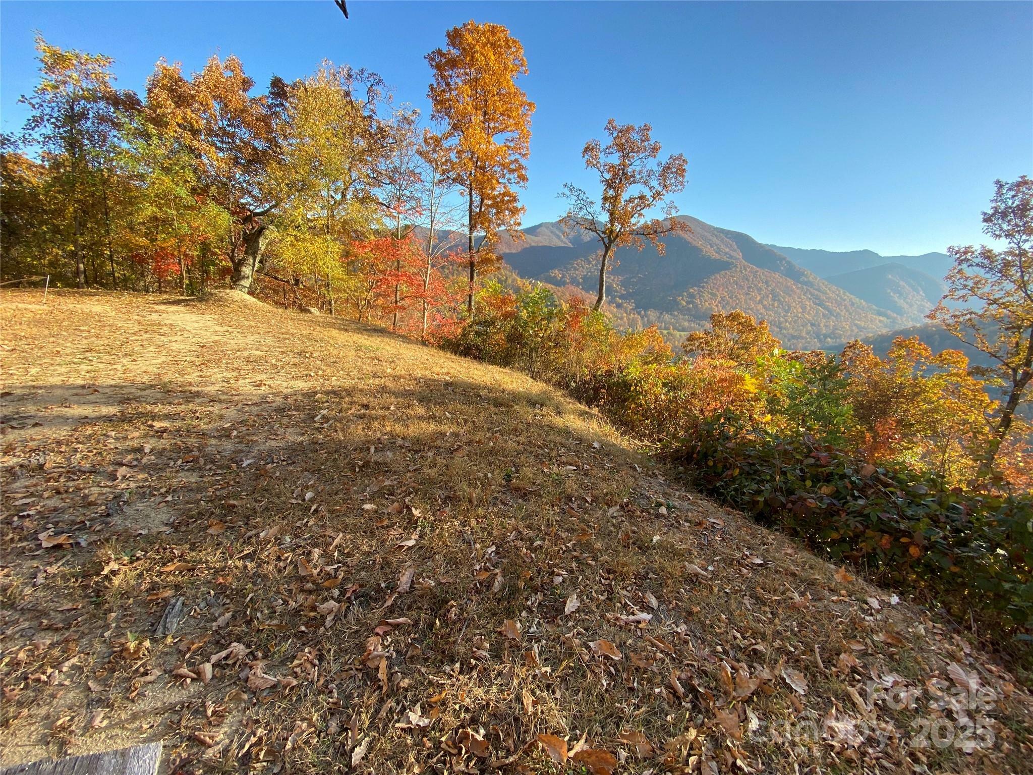 Property Photo: 40 Cougar Lane 13,14,15,16 NC 28751