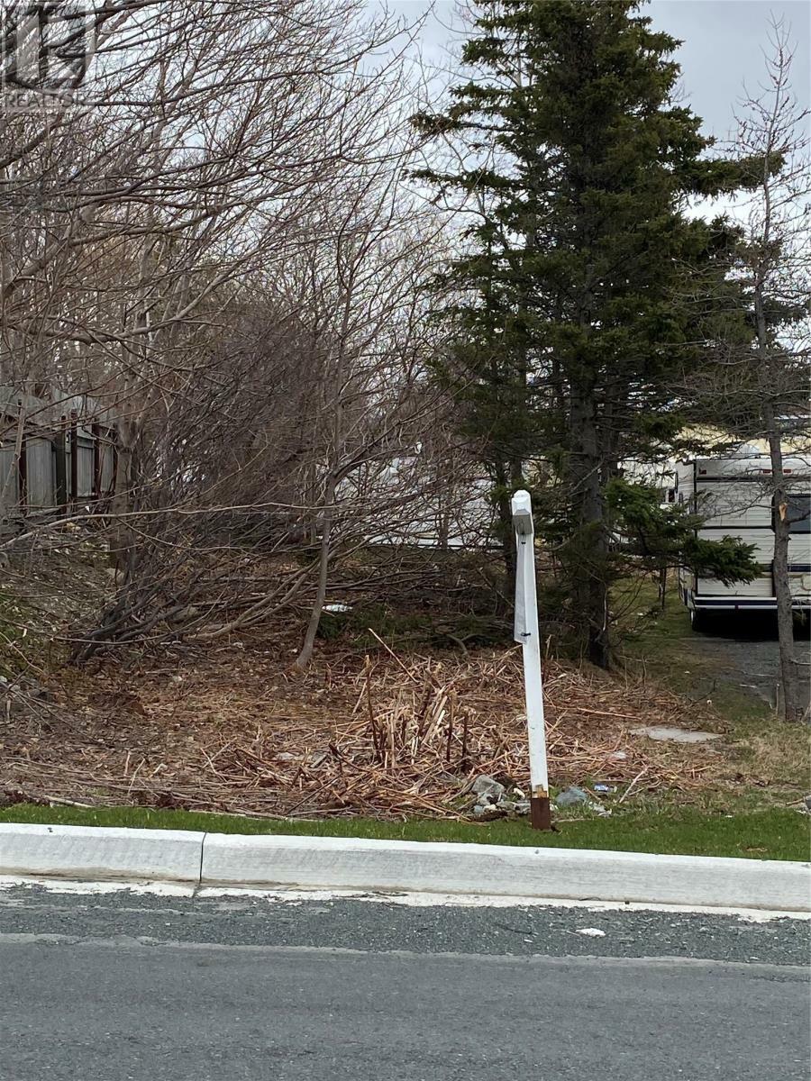 Property Photo:  2 Clearview Heights  NL A1L 1T7 