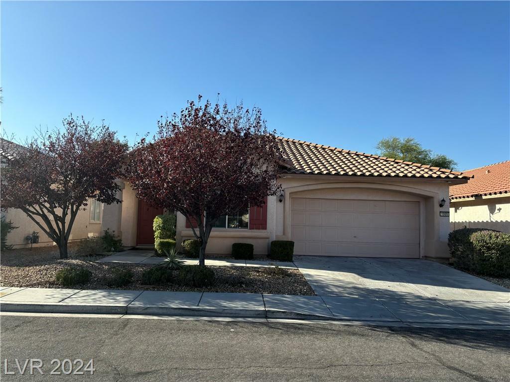 1005 Royal Birch Lane  Las Vegas NV 89144 photo