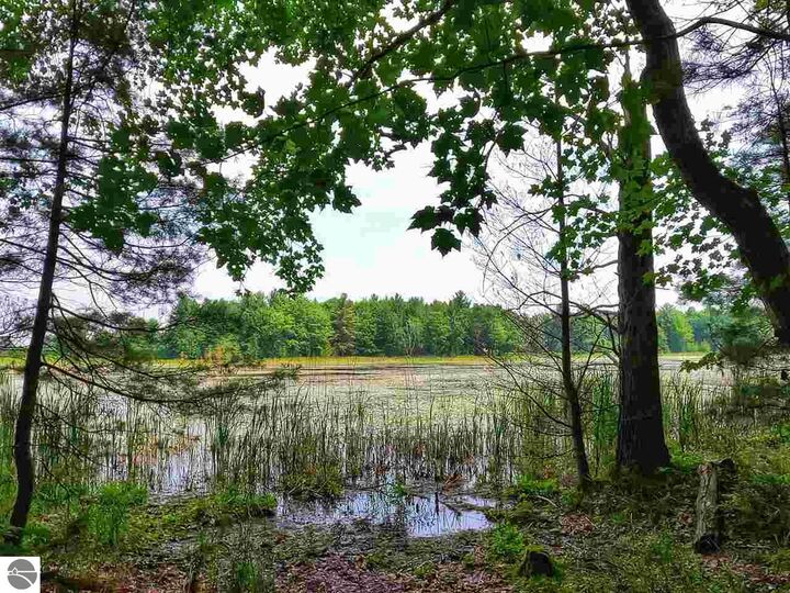 Property Photo:  864 SE Blue Heron Drive  MI 49646