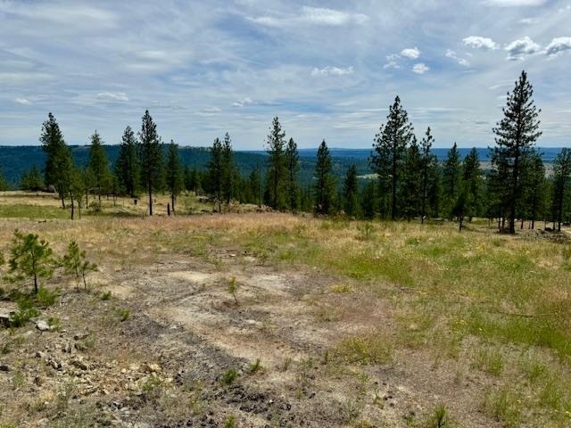 14924 N Cliff Ln Site 128  Spokane WA 99208 photo