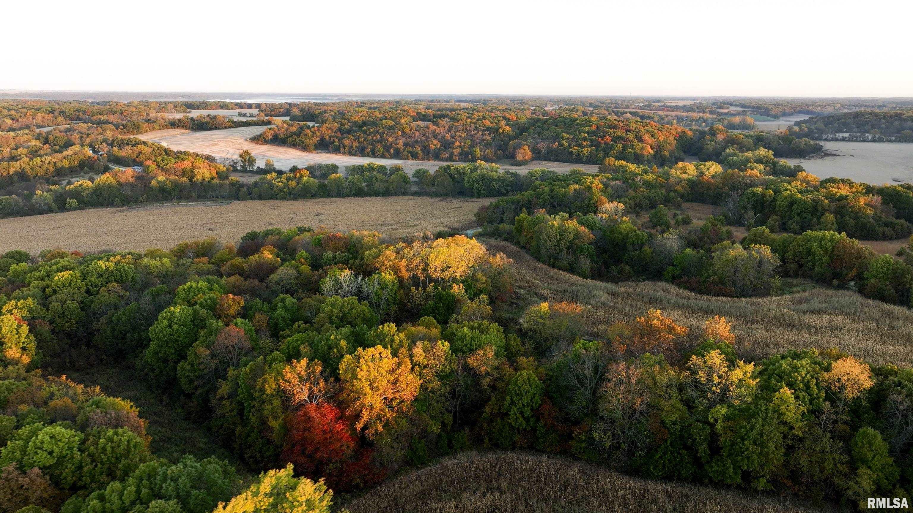 0 N Polecat Road  Cuba IL 61427 photo