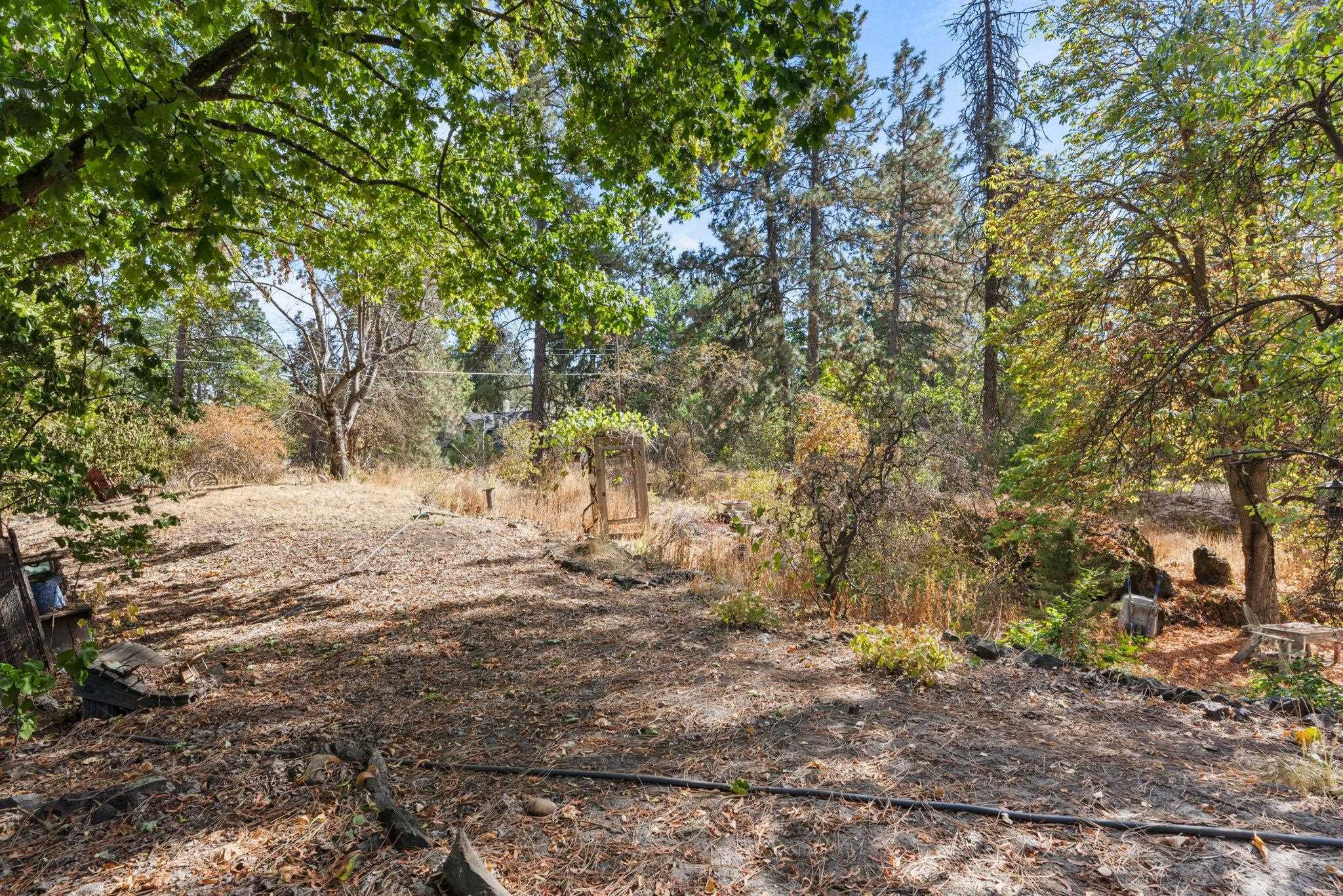 Property Photo:  120 W 13th Ave  WA 99204 