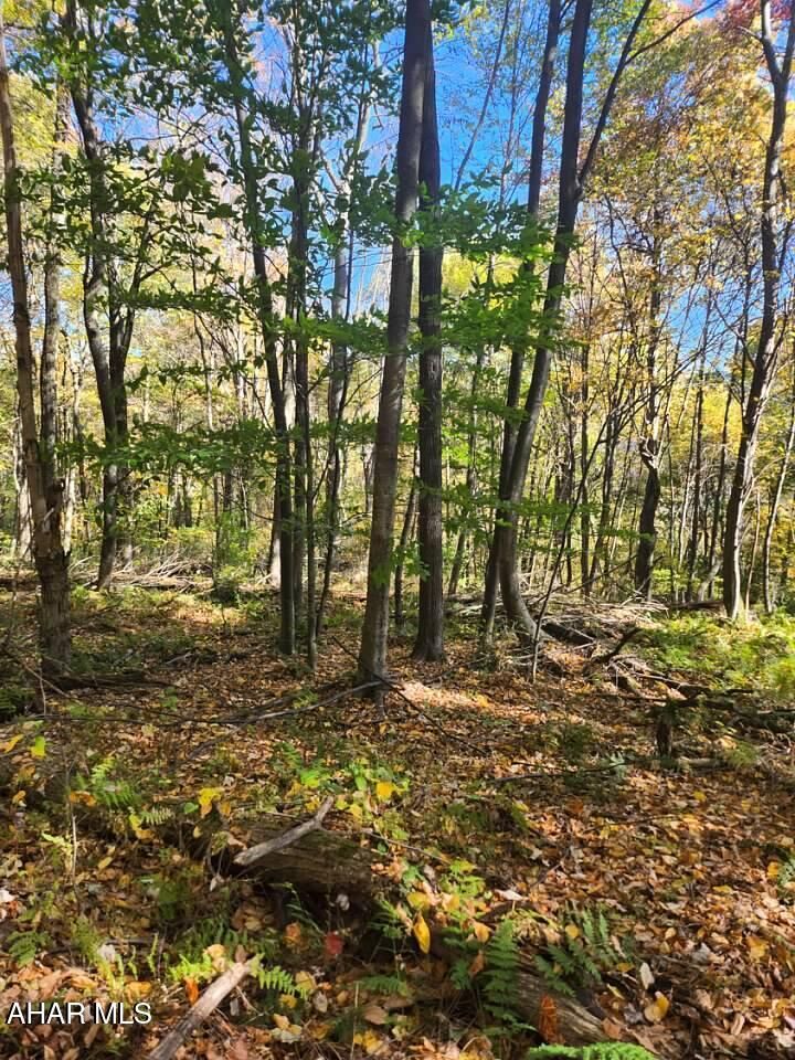 Property Photo: Lots D2-D5 Natures Symphony Road PA 16655