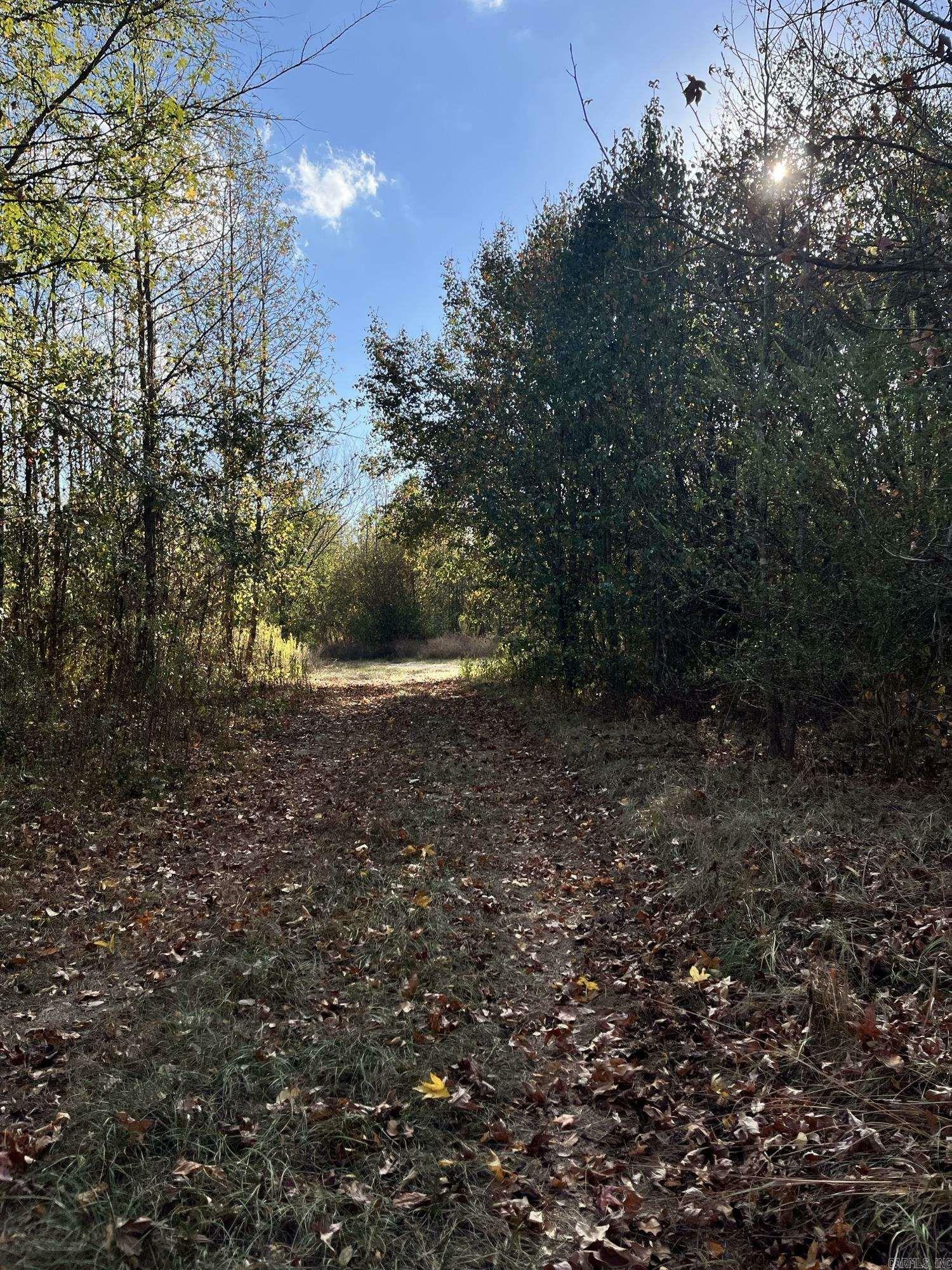 Property Photo:  175 Barbershop Trail  AR 71913 