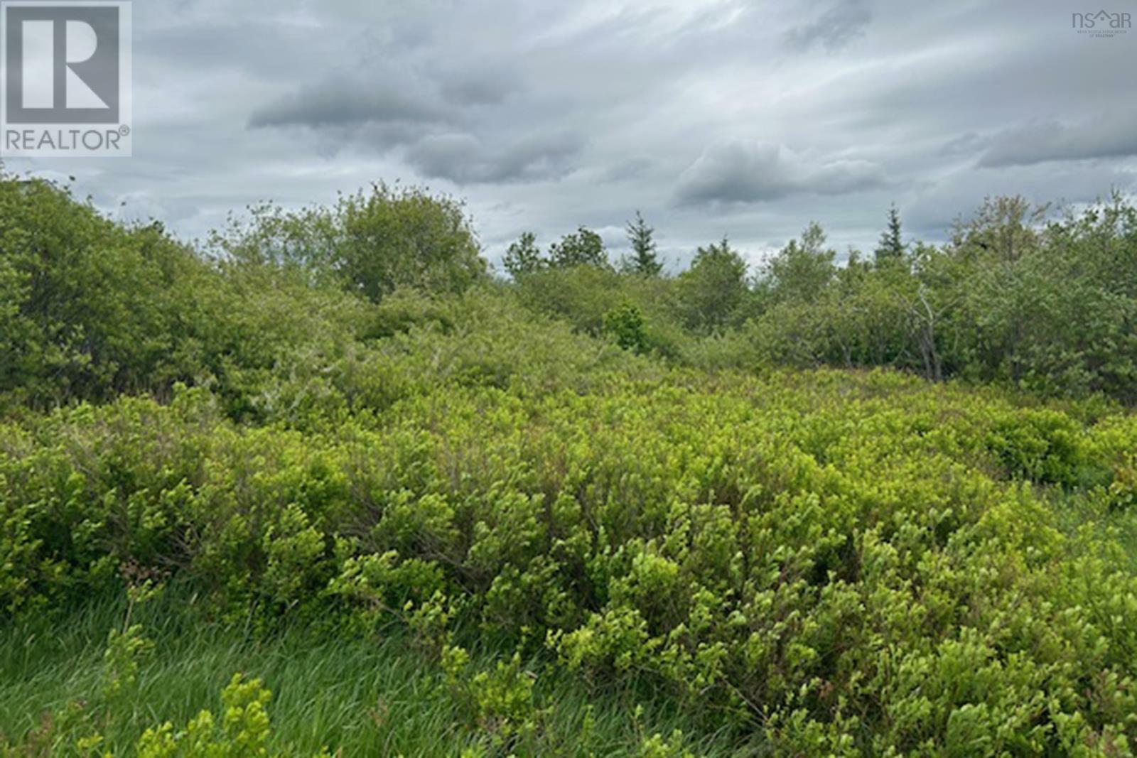 Property Photo:  156 McGee Street  NS B0M 1X0 