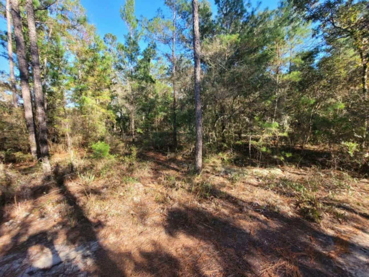 Property Photo:  Lot 10 Blk 20 English Holly Lane  FL 32433 