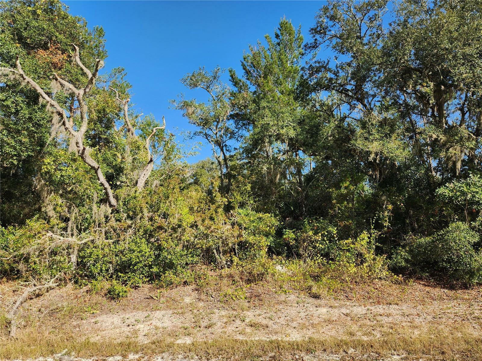 Property Photo:  Riverstone Street  FL 33597 