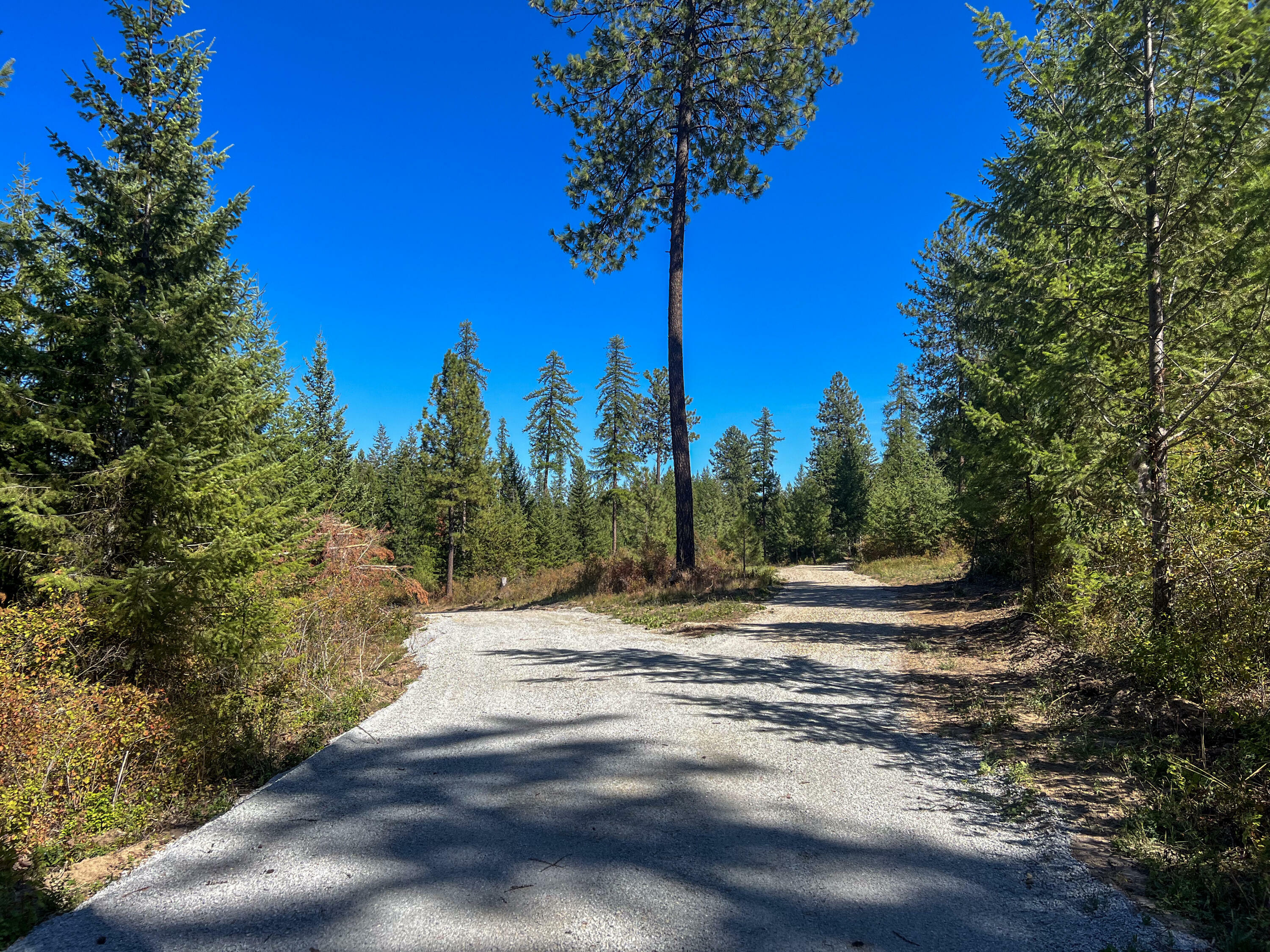 Property Photo:  52xx Lot 6 S Swenson Rd  WA 99006 