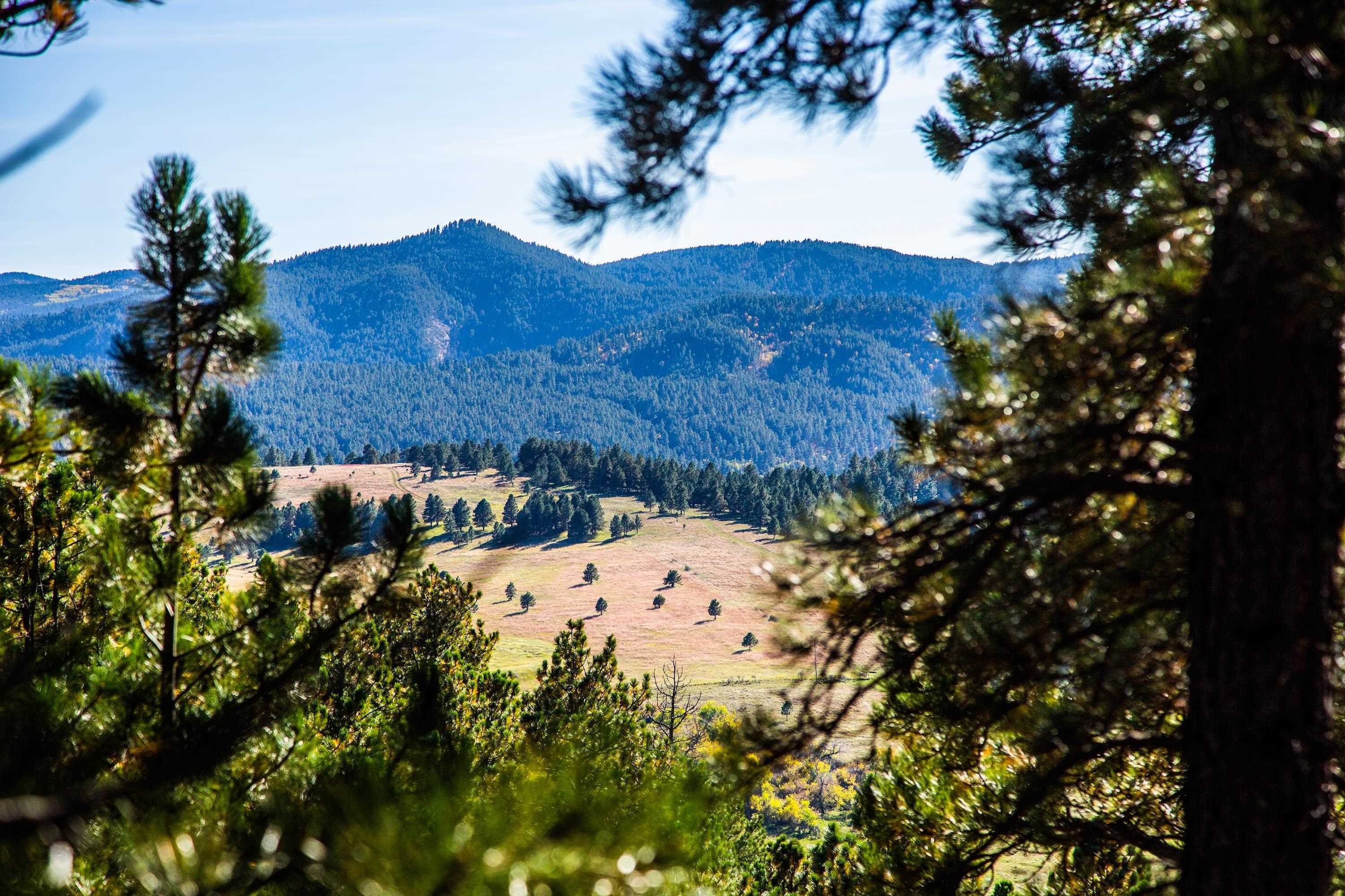 Lot 12 Three Peaks Pass  Whitewood SD 57793 photo