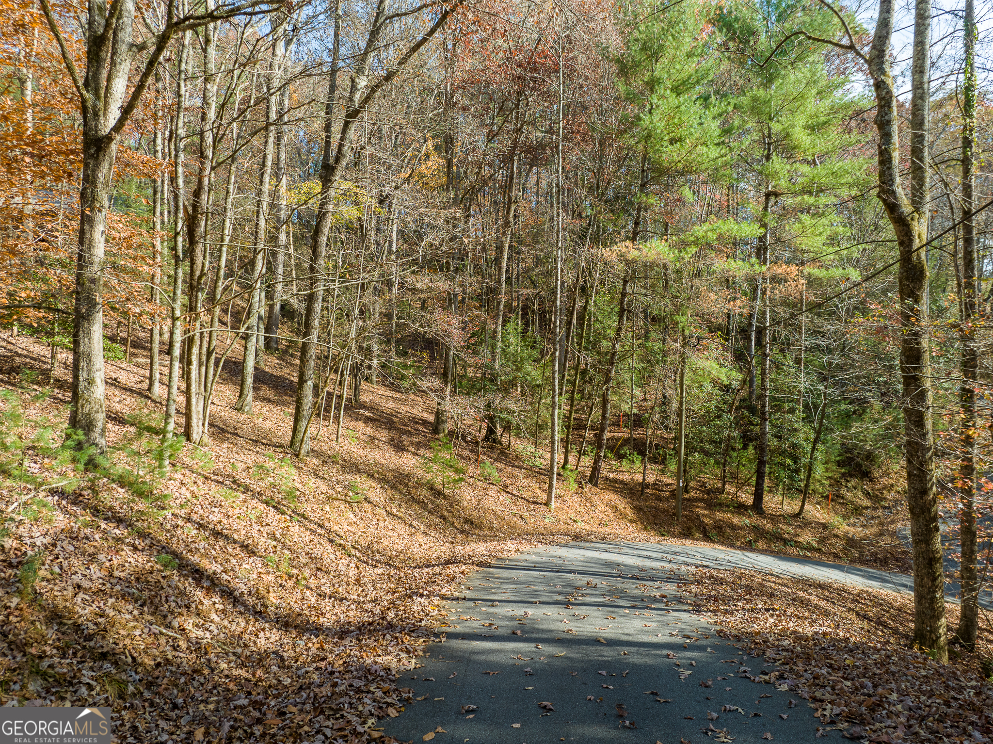 0 Lookiba Lot 7  Ellijay GA 30540 photo