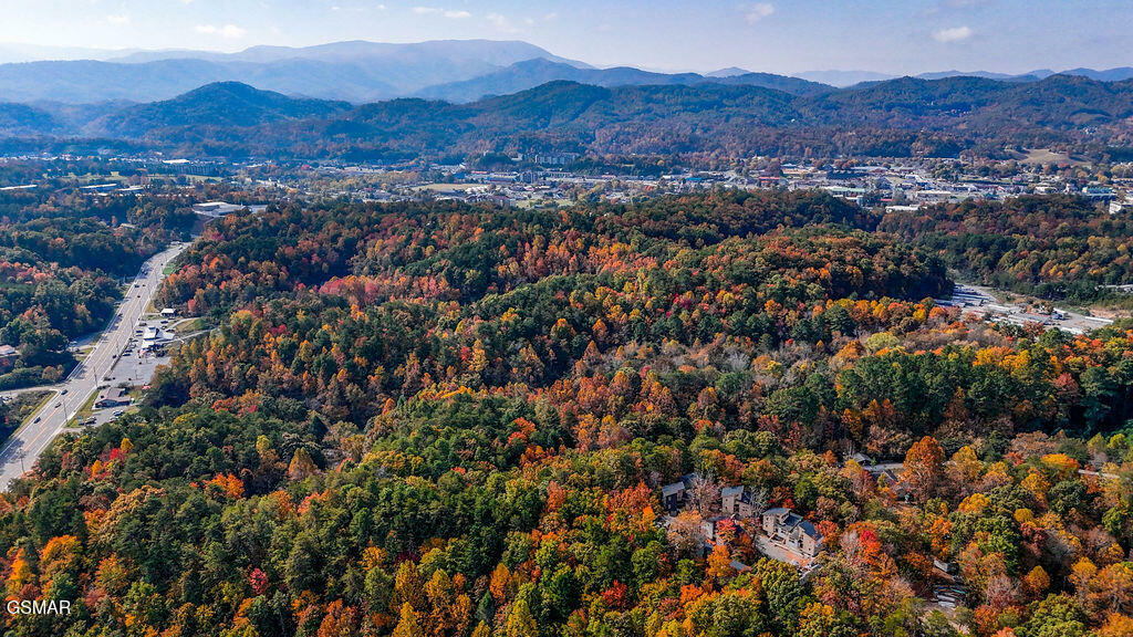 Property Photo: 2385 Forge Hideaway Loop TN 37863