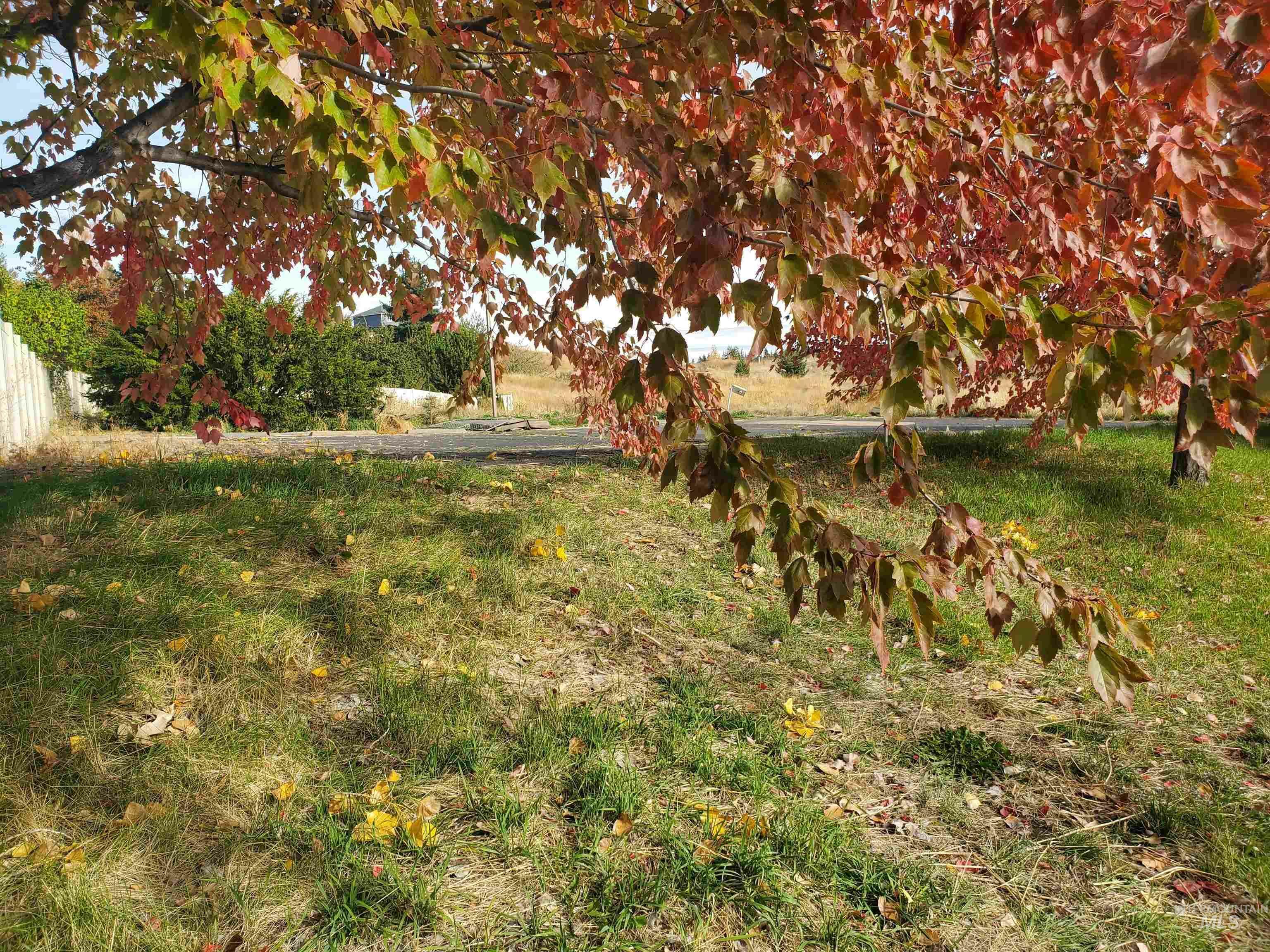 Property Photo:  502 W Palouse River Drive  ID 83843 