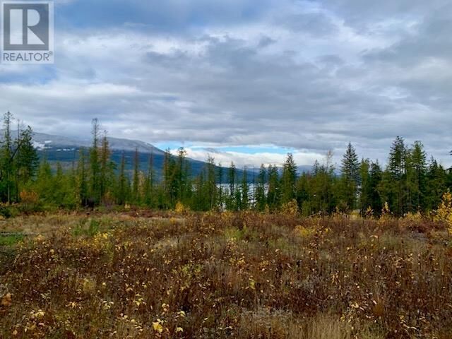 Property Photo:  Lot A 23 Highway  BC V0G 1R0 