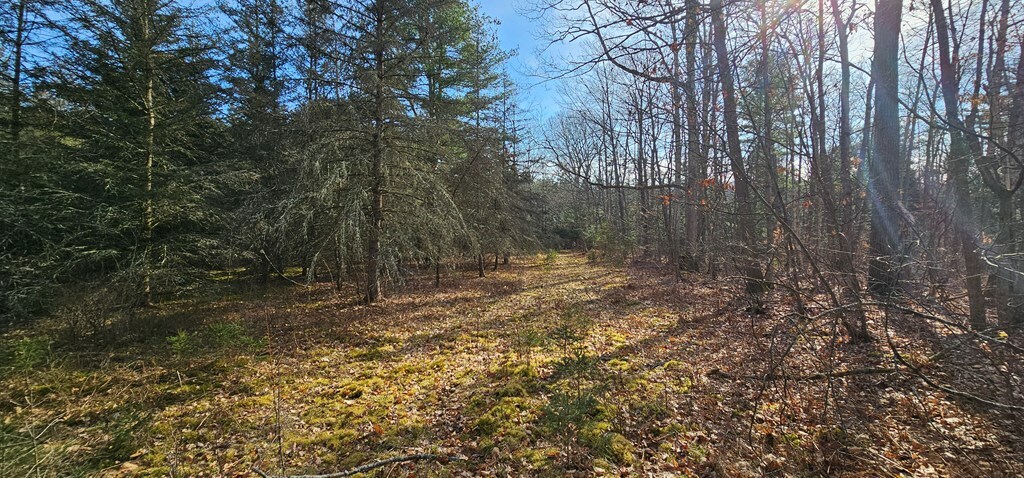 Property Photo:  6894 Hardscrabble Road  NY 14801 