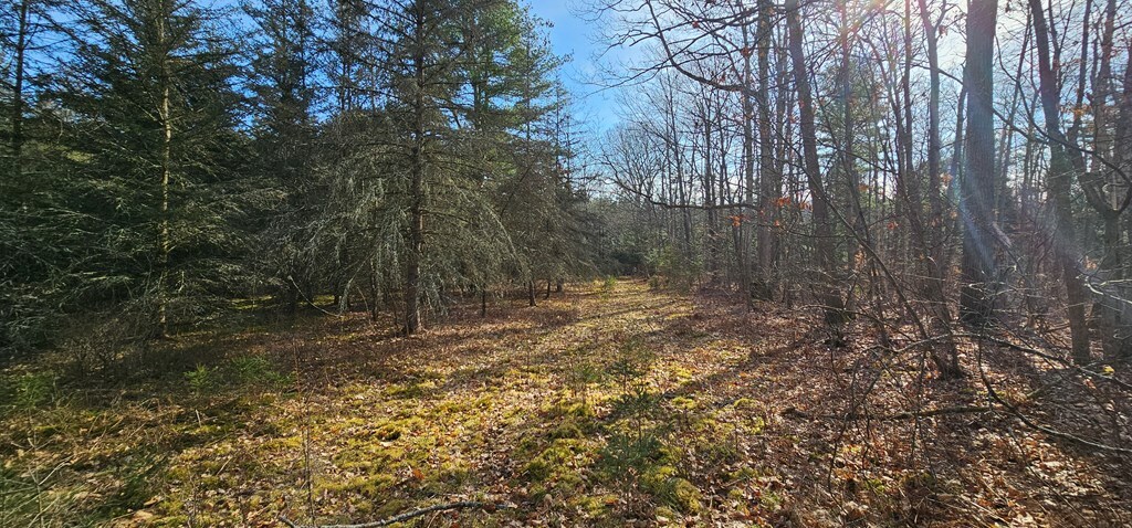 Property Photo: 6894 Hardscrabble Road NY 14801