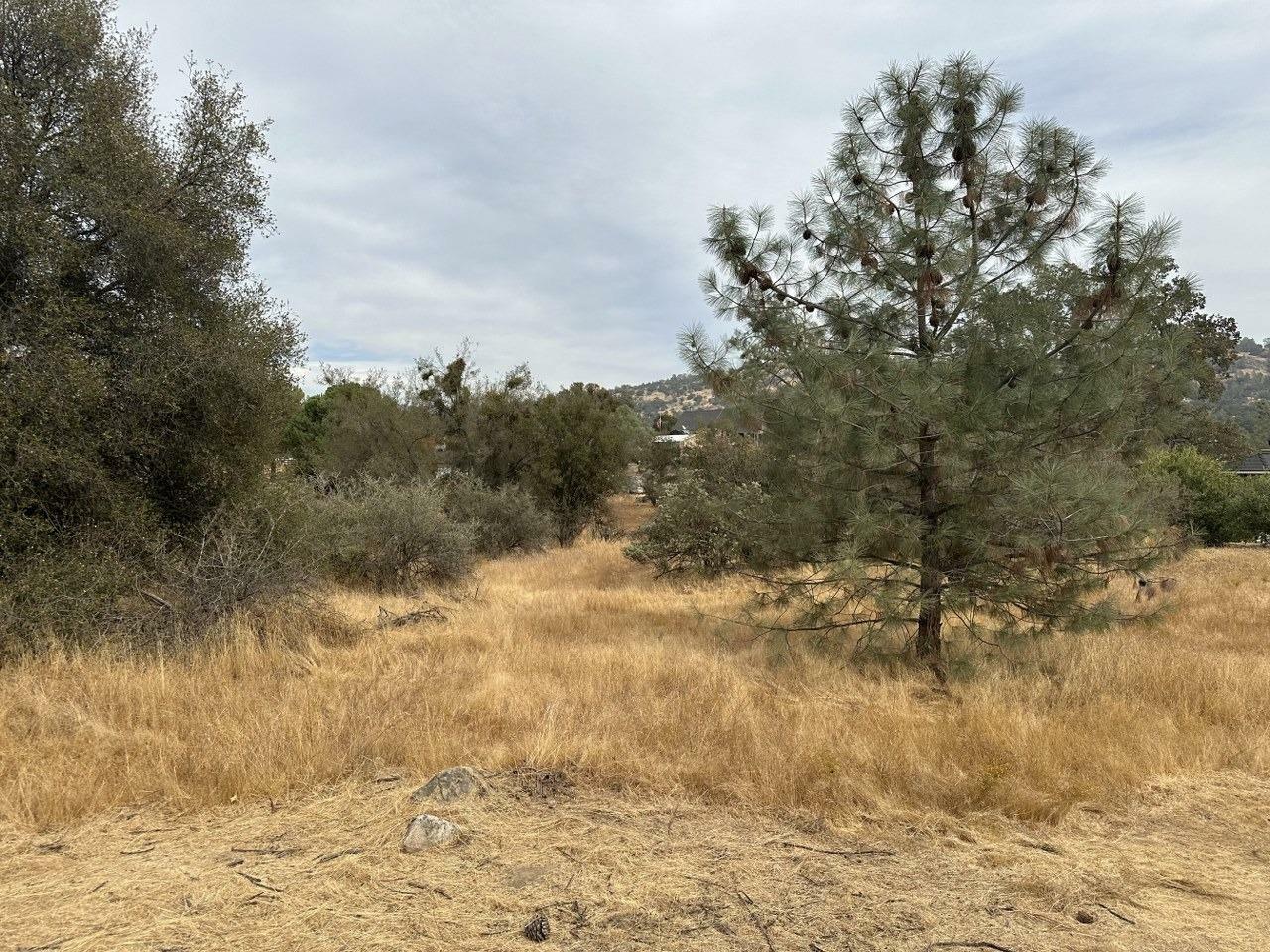 Property Photo:  0 Jim Bowie Court  CA 93614 