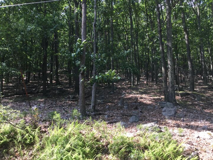 Property Photo: Jae 109 Kickapoo Drive PA 18202