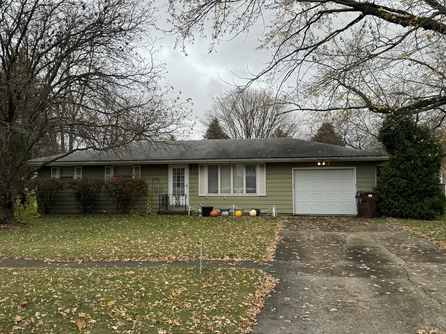 Property Photo:  478 N Bossert Street  IL 60941 