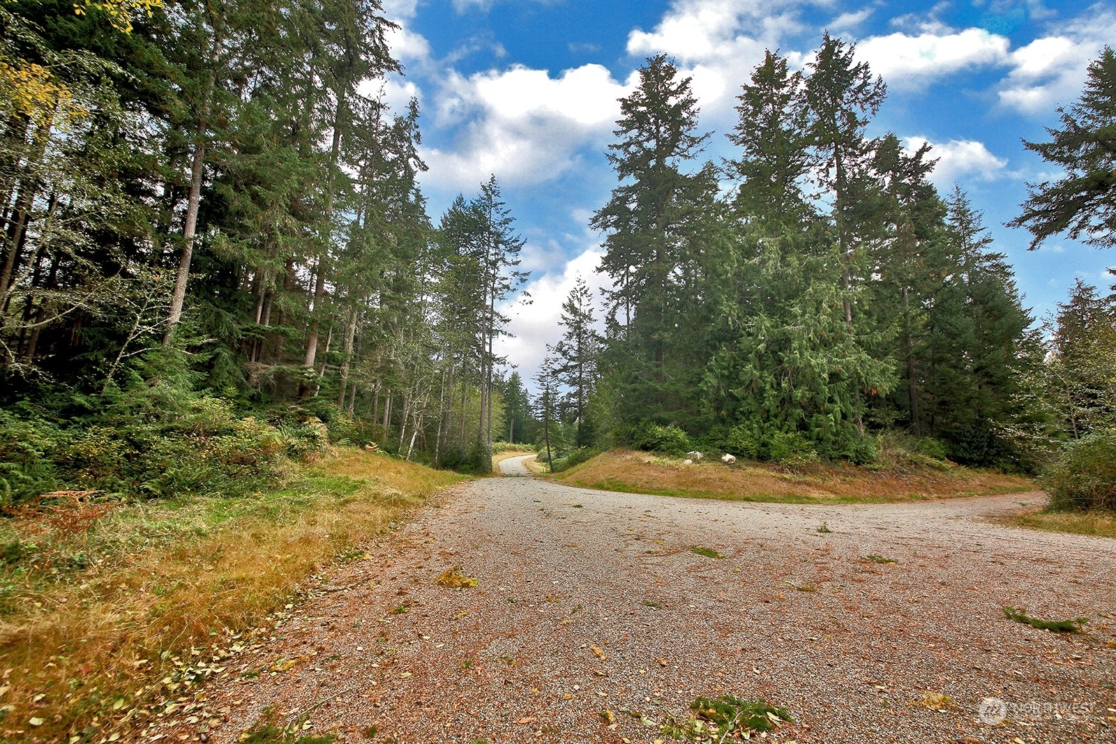 Property Photo:  0 Lot D Saratoga Road  WA 98260 