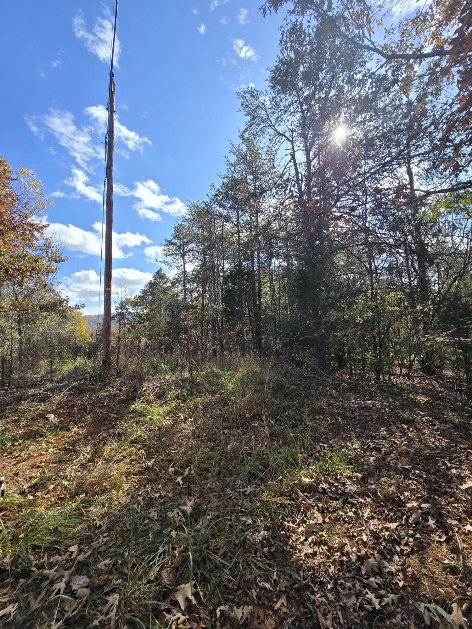 Property Photo:  0 Buttercup Ln  VA 24174 