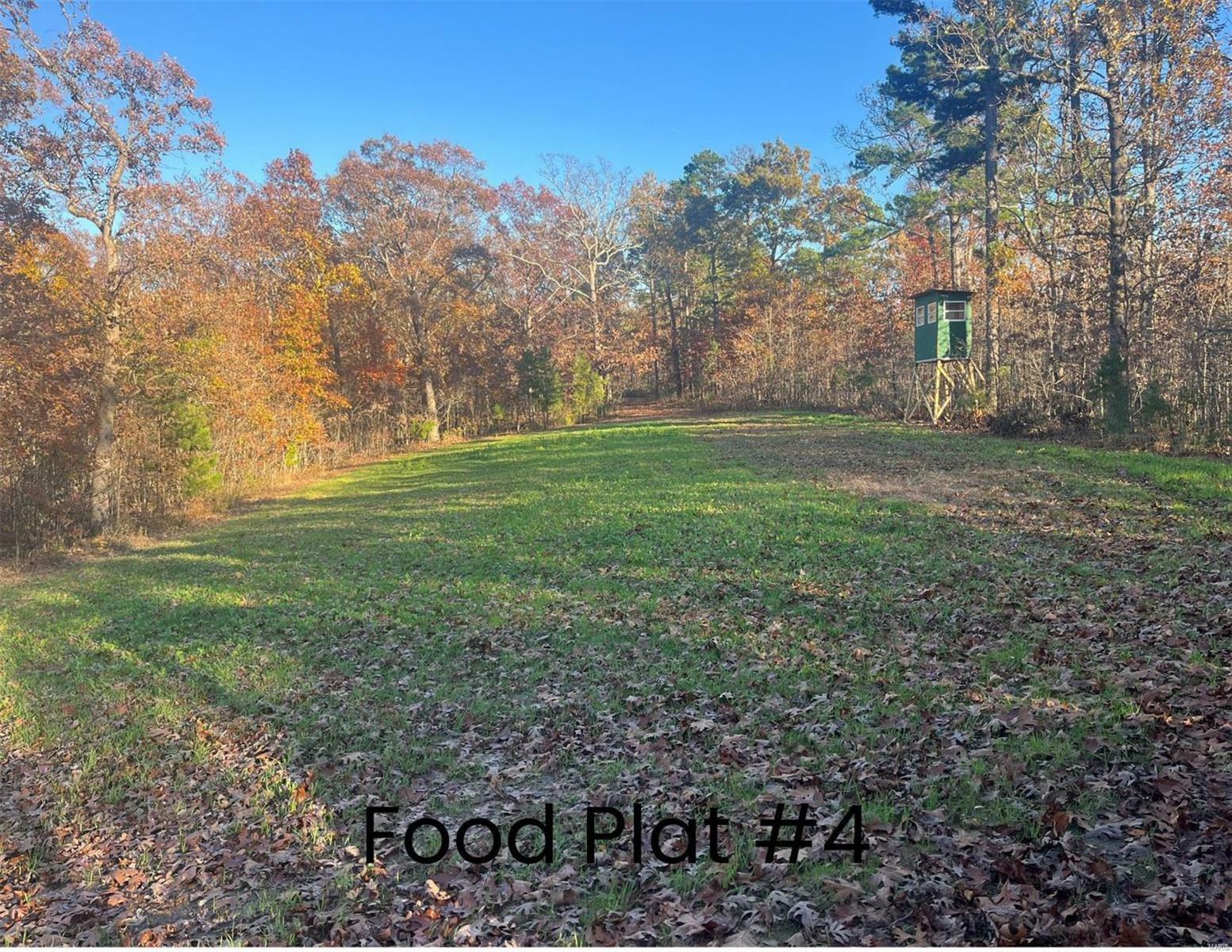 0 (320+/- Acres) Lodge Road  Potosi MO 65441 photo