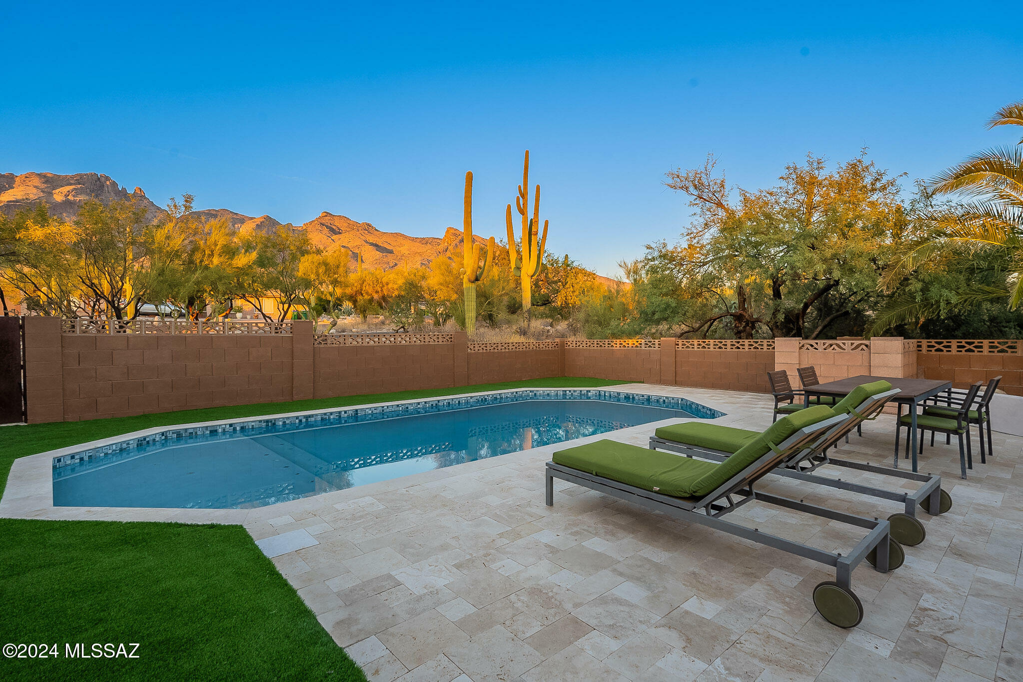 Property Photo:  3838 E Gibbon Mountain Place  AZ 85718 