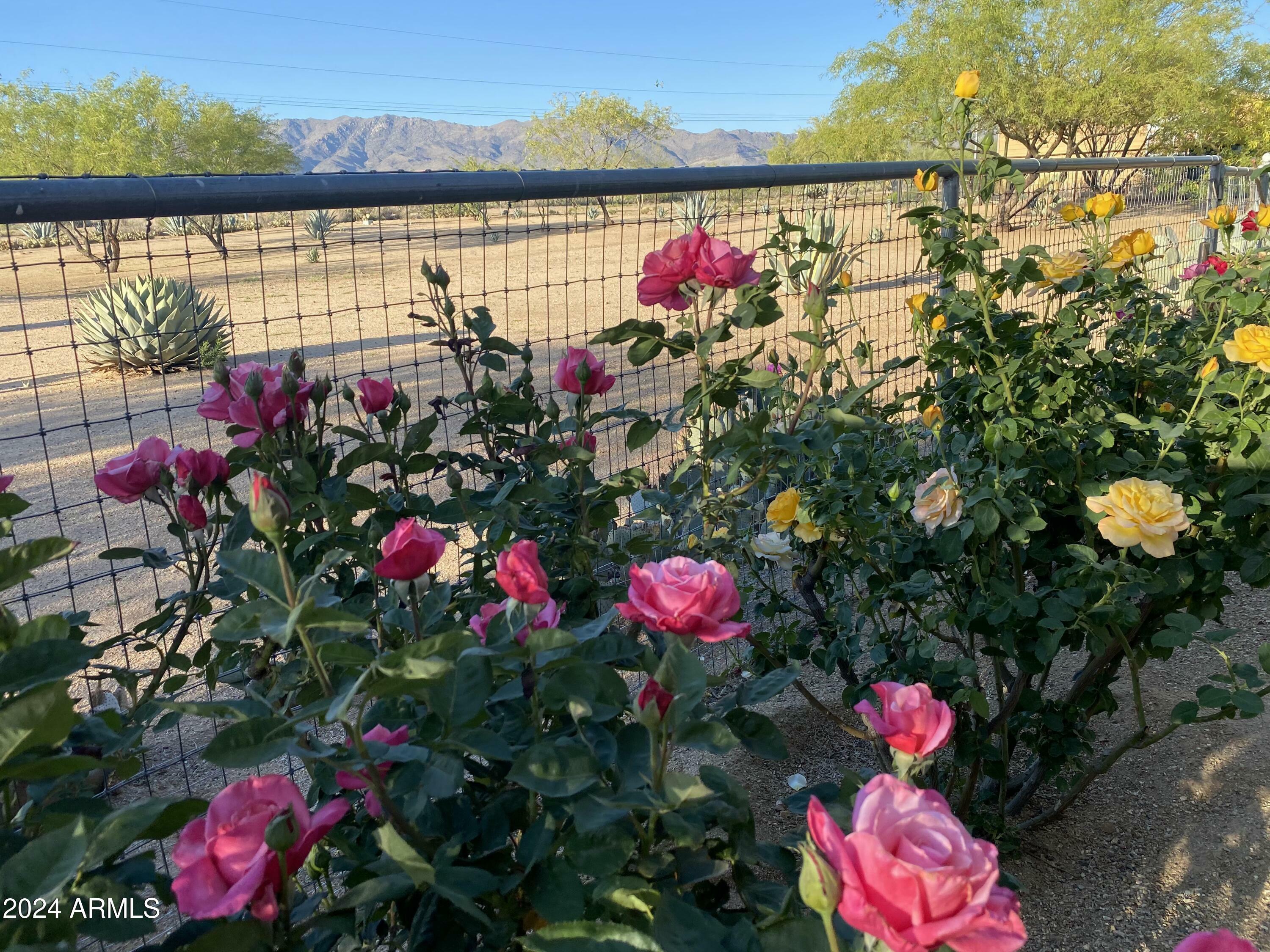 Property Photo: 27199 S Congress Way AZ 85332