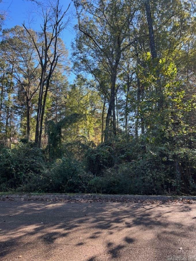 Property Photo:  Lot 13 Mockingbird Lane  AR 71701 