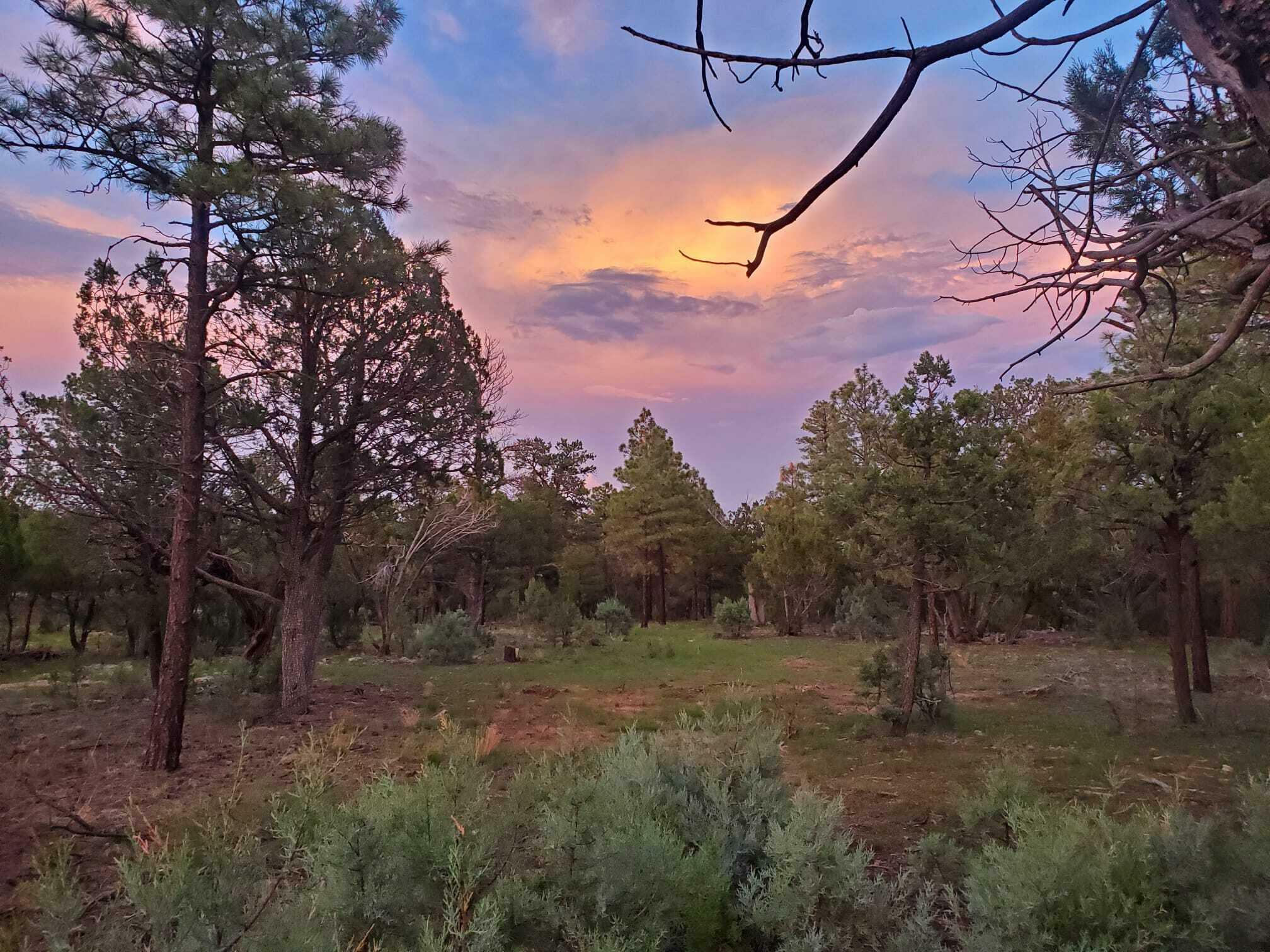 Property Photo:  6889 Whispering Pine Drive  AZ 86024 