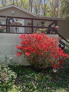Property Photo: 9842 County Road 91 AL 35958