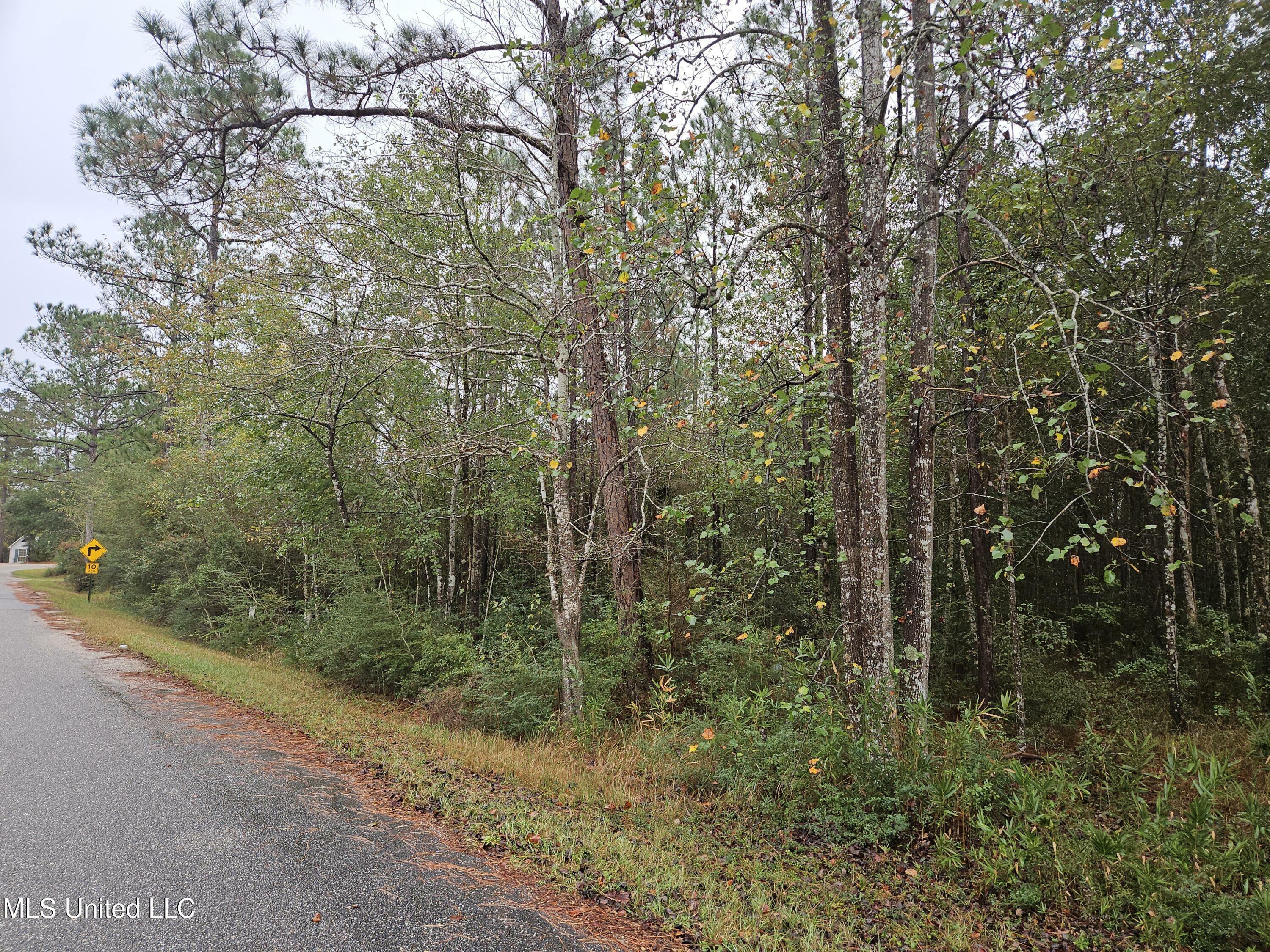 Property Photo:  29211 Shenandoah Drive  MS 39571 